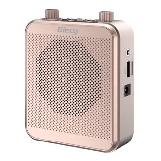 OEM Amplificador De Voz Port&aacute;til Con Micr&oacute;fono Inal&aacute;mbrico Uhf Y Bater&iacute;a De 2800 Mah, Reproductor Mp3/tf/usb, Radio Fm Y Grabadora Para Profesores, Giras 