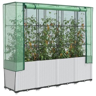 Berkfield Home Raised Bed with Greenhouse Cover Rattan Look 160x40x153 cm in White | Size: 160 x 40 x 153 cm