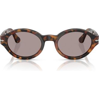 Persol Loris 53mm Oval Sunglasses in Madreterra /Violet at Nordstrom