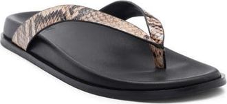 Paige Zadie Flip Flop in Tan Multi at Nordstrom, Size 10.5