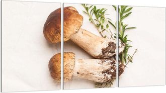 OEM Placa Protectora De Vidrio Para Estufa 3x30x52