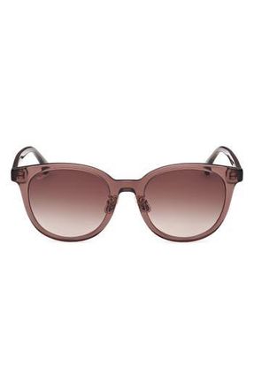 Max Mara 54mm Round Sunglasses in Shiny Dark Brown /Brown at Nordstrom Rack