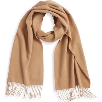 Nordstrom Cashmere Scarf in Camel at Nordstrom