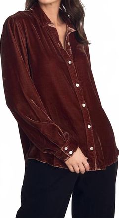 Bella Dahl Long Sleeve Classic Shirt In Amber Honey