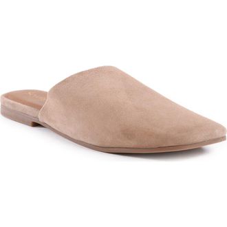 Seychelles Bahama Mule in Taupe at Nordstrom Rack, Size 7.5