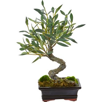 Nearly Natural Mini Olive Artificial Bonsai Tree in Green at Nordstrom