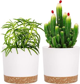 OEM Juego De 2 Macetas Para Plantas De Interior Con Orificios De Drenaje Y Base Extra&iacute;ble, Platillo Decorativo Moderno (blanco)
