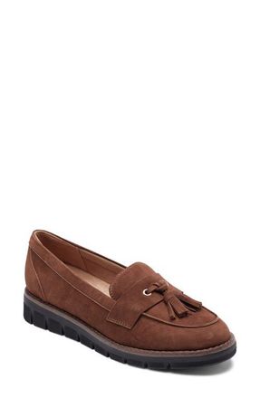 Easy Spirit Vienne Loafer in Medium Brown at Nordstrom, Size 5.5