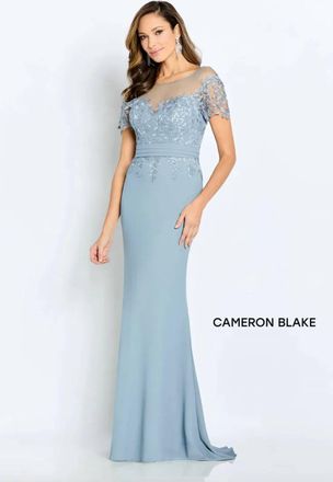 Mon Cheri Sheer Neckline Short Sleeve Dress In Cloud