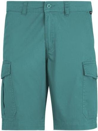 Regatta Ruwan Casual Shorts in Arctic at Nordstrom, Size 44