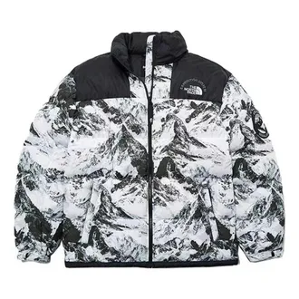 The North Face FW22 DOWN Jacket NJ1DN57A