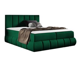 Mirjan24 Cama Continental Cursus, Kronos 19, Continental, Individuales, 120x200, Tapiz, Somieres, 140x218x103cm