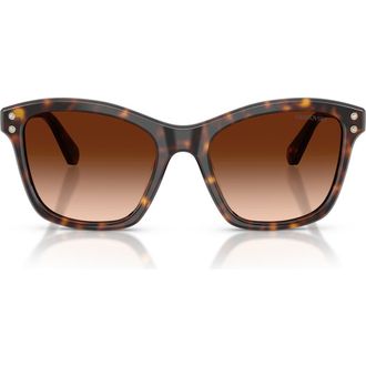 Swarovski 54mm Gradient Square Sunglasses in Havana /Gradient Brown at Nordstrom