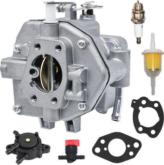 OEM Briggs&stratton - Carburador Para Motor De 16, 17 Y 18 Hp (846109, 350447 Y 356447) Con Juntas. Repuestos