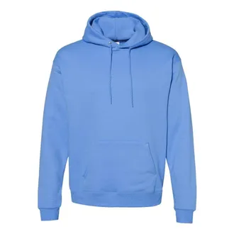 Hanes Ecosmart Hooded Sweatshirt