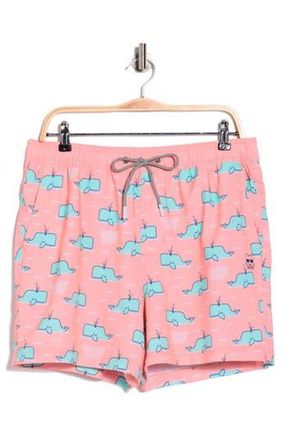 Party Pants Moby 2.0 Swim Trunks in Pink at Nordstrom Rack, Size X-Small