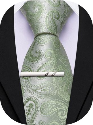 Barry.Wang Paisley Tie for Men Silk Woven Necktie and Tie Clip Set Wedding Party Business Formal, Sage Green, One Size