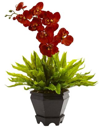 Nearly Natural Birds Nest Fern & Orchid Silk Arrangement with Wood Planter