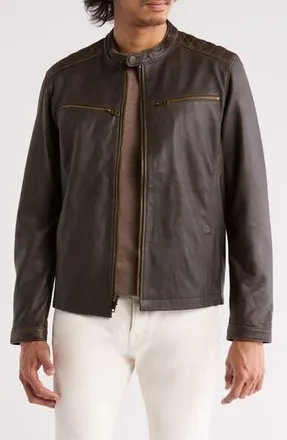 Frye Cafe Racer Leather Jacket in Dark Brown at Nordstrom Rack, Size X-Large
