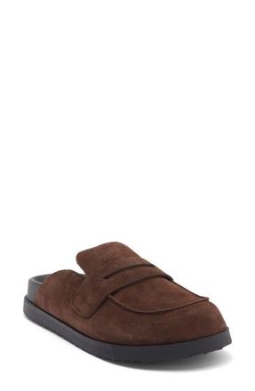 Steve Madden Toryn Loafer Mule in Brown Distressed Suede at Nordstrom, Size 9.5