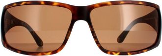 Police Rectangle Mens Havana Brown SPLB46 Origins 40 - One Size