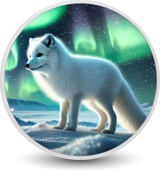 OEM Resplandor &Aacute;rtico: Zorro Bajo La Moneda Coloreada De La Aurora