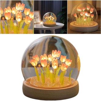 OEM Luz Nocturna, L&aacute;mpara De Mesilla, L&aacute;mpara De Noche Led, L&aacute;mpara De Mesa, Ideal Para Decorar El Dormitorio O Como Regalo De Cumplea&ntilde;os (rosa)