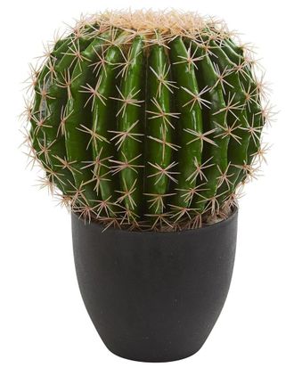 Nearly Natural Cactus Artificial Plant