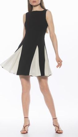 Alexia Admor Dianis Fit and Flare Minidress in Black/Ivory at Nordstrom Rack, Size 12