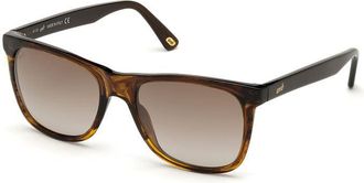 Web Eyewear Acetate Mens Sunglasses