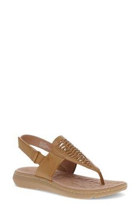 BareTraps Quincy T-Strap Sandal in Caramel at Nordstrom Rack, Size 6.5