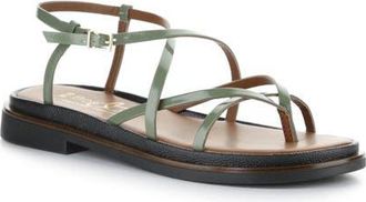 Bos. & Co. Cassia Ankle Strap Platform Sandal in Sage at Nordstrom, Size 10-10.5Us