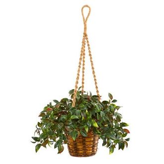 Nearly Natural 30-in Mini Melon Artificial Plant in Hanging Basket UV Resistant in Green at Nordstrom