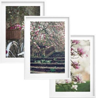 OEM Cuadros P&oacute;sters Para La Pared Enmarcados Flores Decoraci&oacute;n Para El Sal&oacute;n Dormitorio 30x40