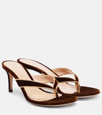 Gianvito Rossi Sandalias Calypso 70 de terciopelo