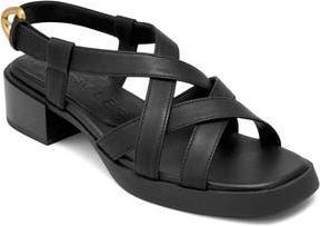 Aerosoles Daily FX Slingback Sandal in Black at Nordstrom Rack, Size 6.5