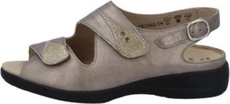 Solidus Dames, Schoenen, Bruin, Maat: 40 1/2 EU