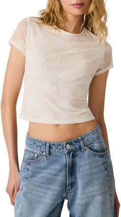 Steve Madden Peyton Mesh & Lace Top in Antique at Nordstrom, Size X-Small