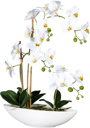 Creativ Green Kunstorchidee »Phalaenopsis« im Keramikschiff
