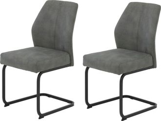 Hela Freischwinger »NEPTUN, Esszimmerstuhl-Set« (Set) 2 Stk.Federkern,140 kg Belastbar,Pflegeleichter Stoff, Dicke Polsterung