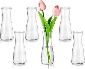 OEM Juego De 6 Mini Jarrones Modernos - Jarrones Decorativos De Cristal Transparente - Jarrones Minimalistas Para Sala De Estar Y Bodas