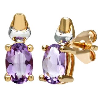 Diamant L'&eacute;ternel Womens 9ct Yellow and White Gold Ladies Amethyst Birth Stone Earrings - One Size