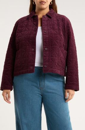 Seasalt Cornwall Incoming Tide Quilted Organic Cotton Corduroy Jacket in Dark Hellebore at Nordstrom, Size 20 Us