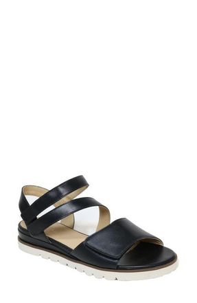 David Tate Theo Ankle Strap Sandal in Black at Nordstrom, Size 10