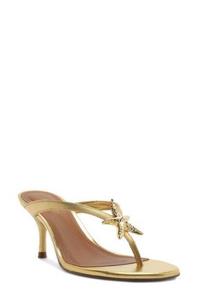 Arezzo Yara Sandal in Gold at Nordstrom, Size 7.5