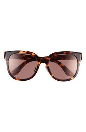 Miu Miu 55mm Square Sunglasses in Blonde Havana at Nordstrom Rack