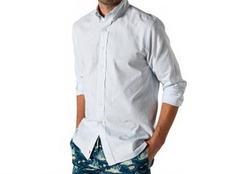 Duck Head Collins Stripe Cotton Oxford Sport Shirt In Light Blue