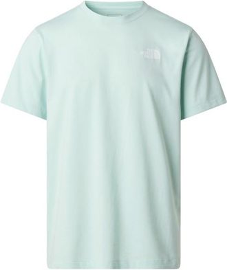 The North Face Evolution Box NSE Regular Short Sleeve T-Shirt f&uuml;r Herren | grau