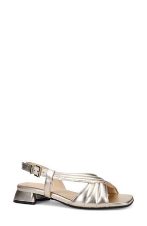 Ron White Blair Slingback Leather Sandal in Platino at Nordstrom, Size 10-10.5Us