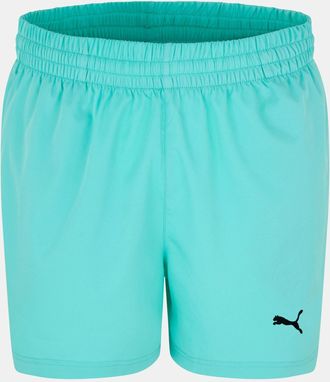 Puma Essenti&euml;le geweven trainingsbroek voor heren (Turquoise)